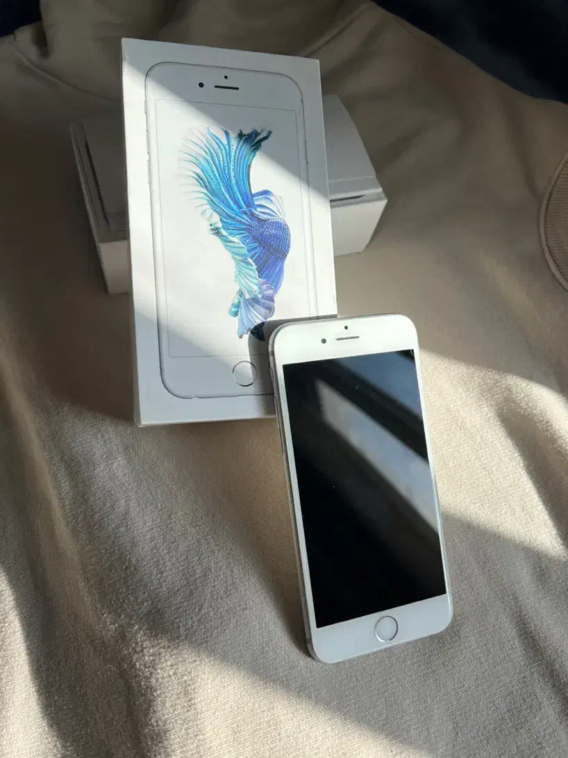 Iphone 6s|موبایل|شیراز, قدوسی غربی|دیوار