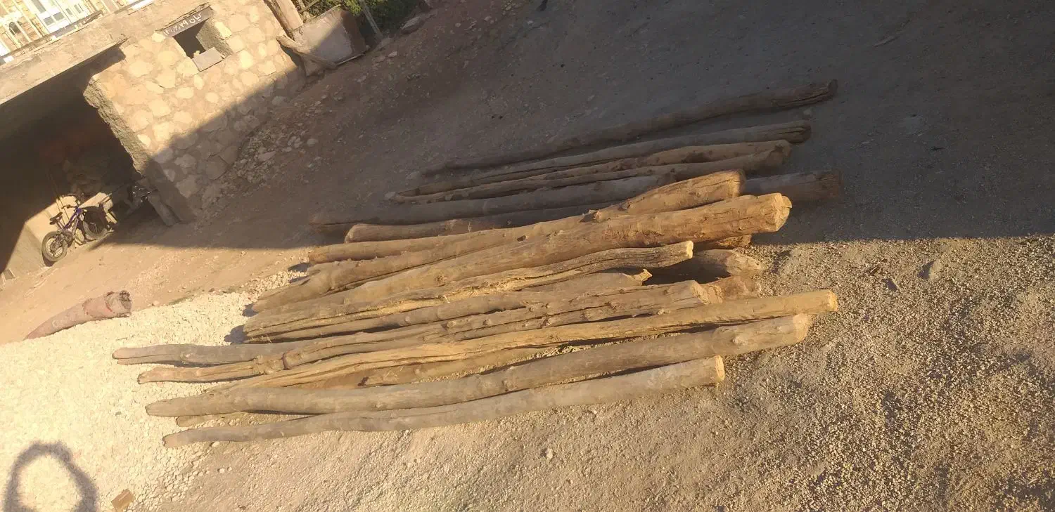 چوب فروشی|مصالح و تجهیزات ساختمان|شباب, |دیوار