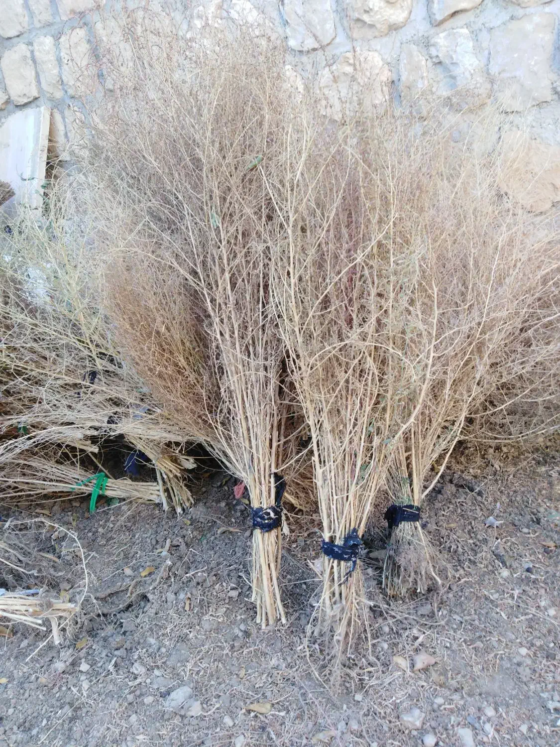 جارو|لوازم نظافت|ایوان, |دیوار