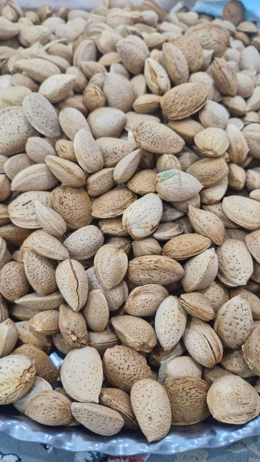 بادم|خوردنی و آشامیدنی|خاتم, |دیوار