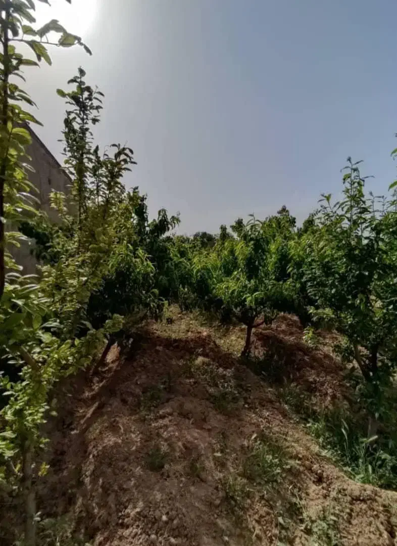 زمین کردان سهلیه سنقرآباد ۴۷۹ متر|فروش زمین و ملک کلنگی|کرج, فاز ۲ مهرشهر|دیوار