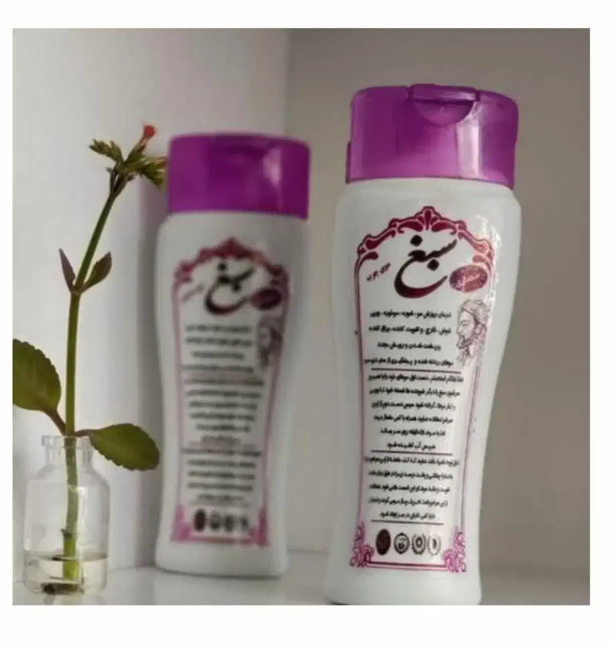 شامپو سبغ طبیعی اصلی|آرایشی، بهداشتی، درمانی|شهرکرد, |دیوار