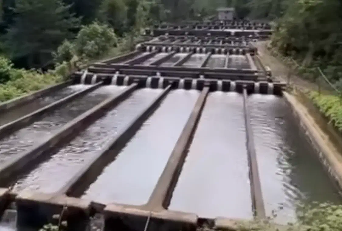 نیازمند  کارگر در کارگاه پرورش ماهی|استخدام صنعتی، فنی، مهندسی|دورود, |دیوار