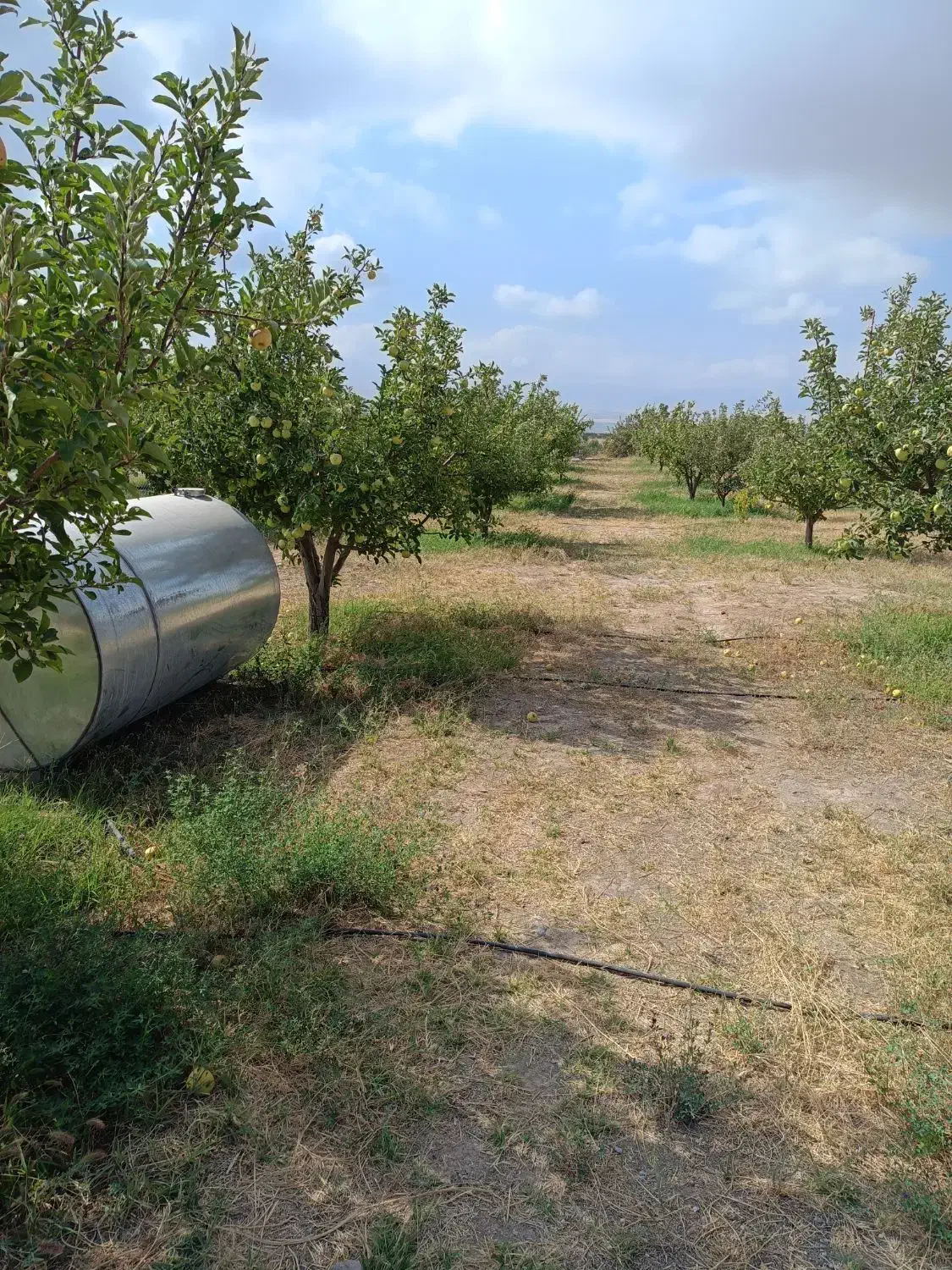 باغ 1000 متر|فروش دفتر صنعتی، کشاورزی، تجاری|اهر, |دیوار