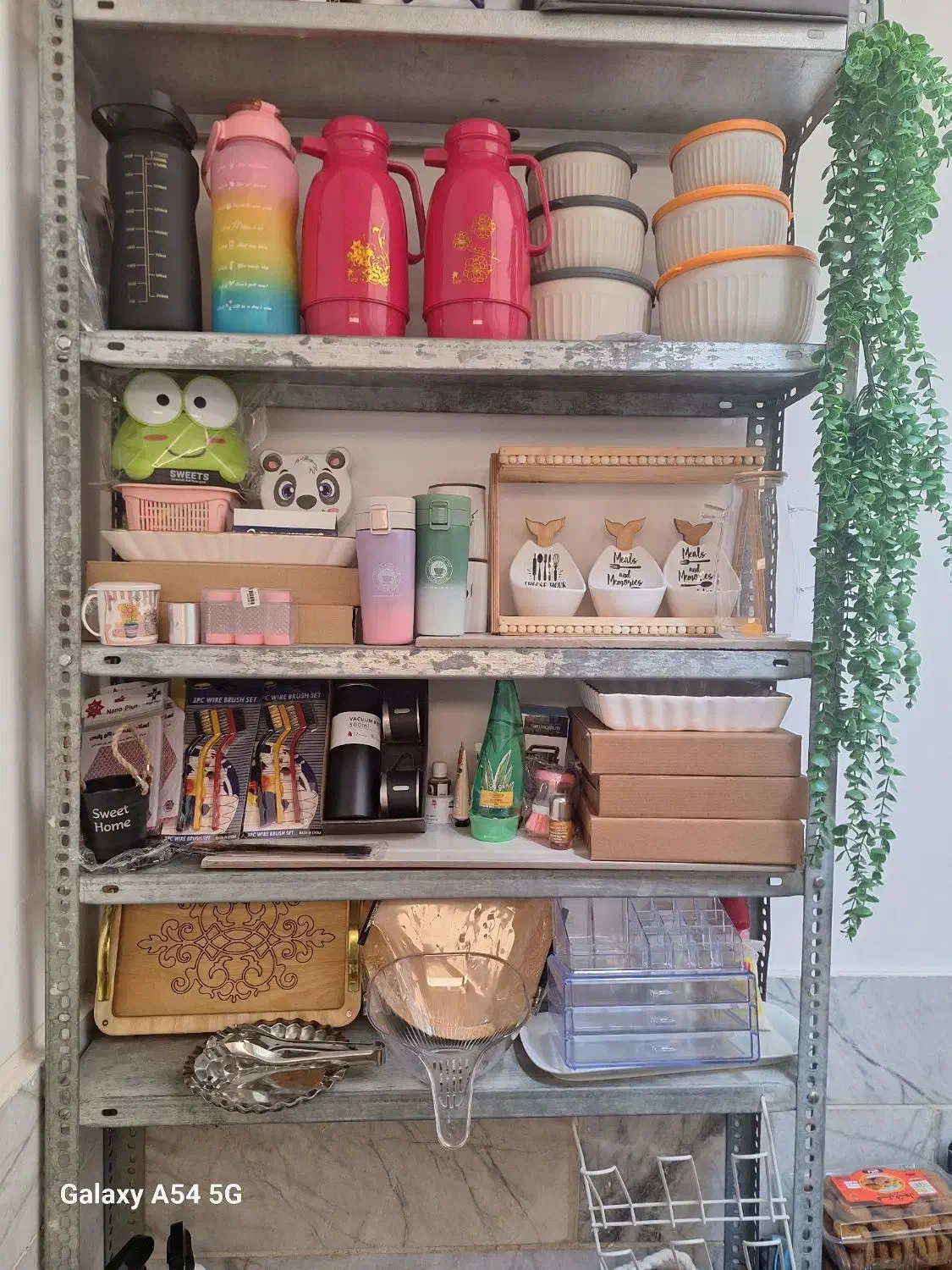 تراول ماگ|ظروف نگهدارنده، پلاستیکی، یکبارمصرف|یزد, |دیوار