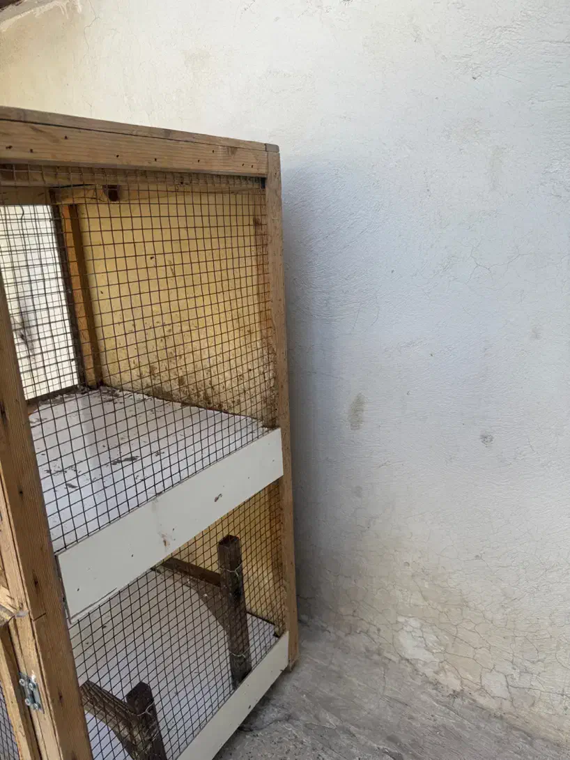 گنجه کفتری|لوازم جانبی حیوانات|شیراز, شیخ علی چوپان|دیوار