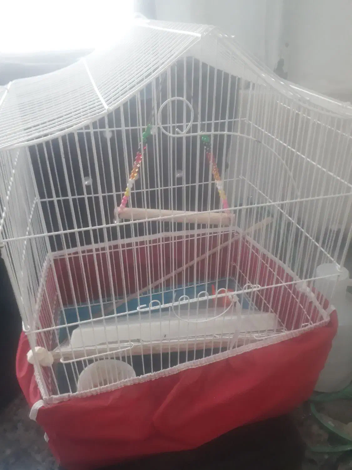 قفس پرنده|لوازم جانبی حیوانات|رشت, پاره بیجار|دیوار