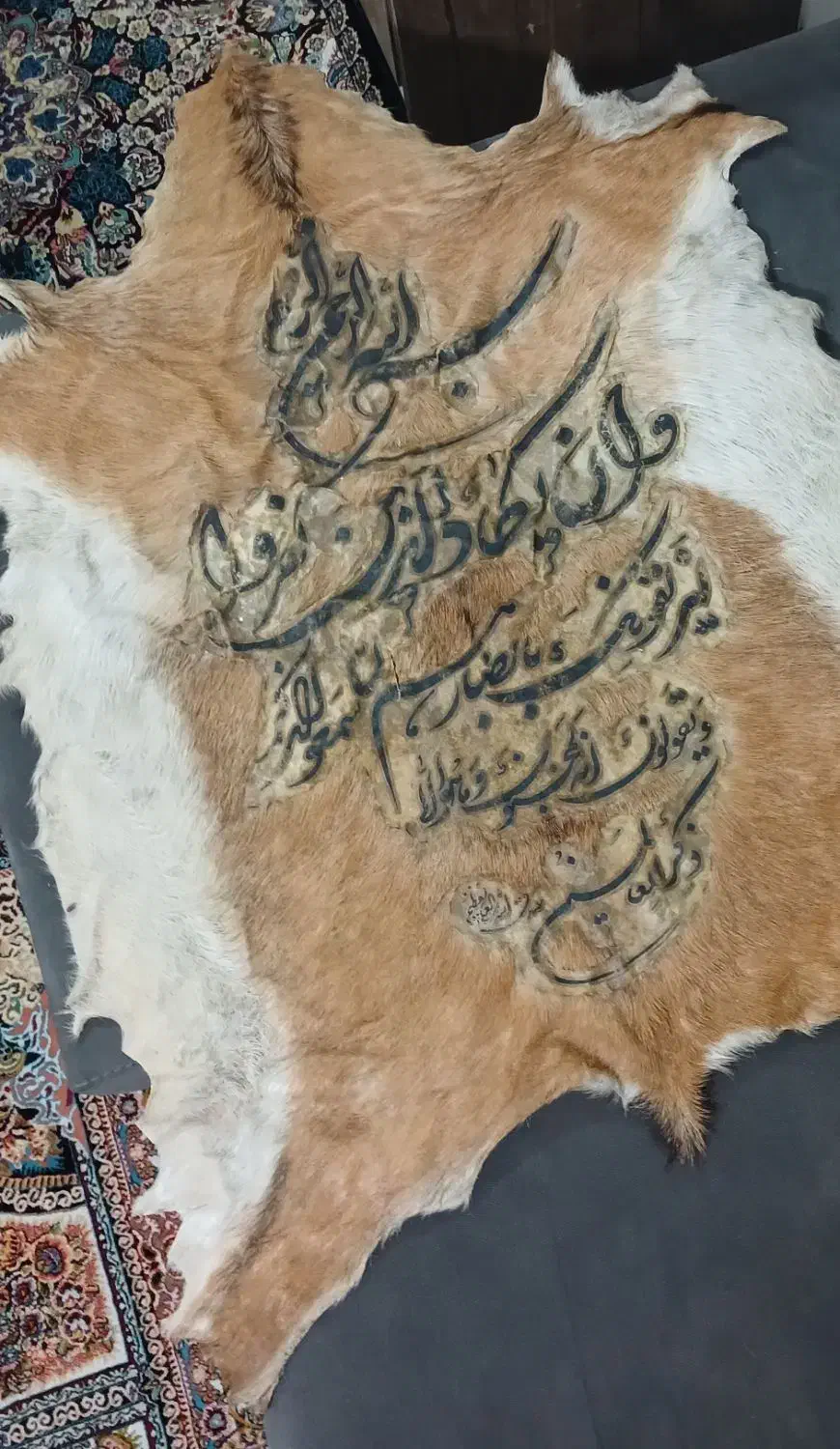 وان یکاد عتیقه|کلکسیون اشیاء عتیقه|اندیشه, شهرک مریم|دیوار