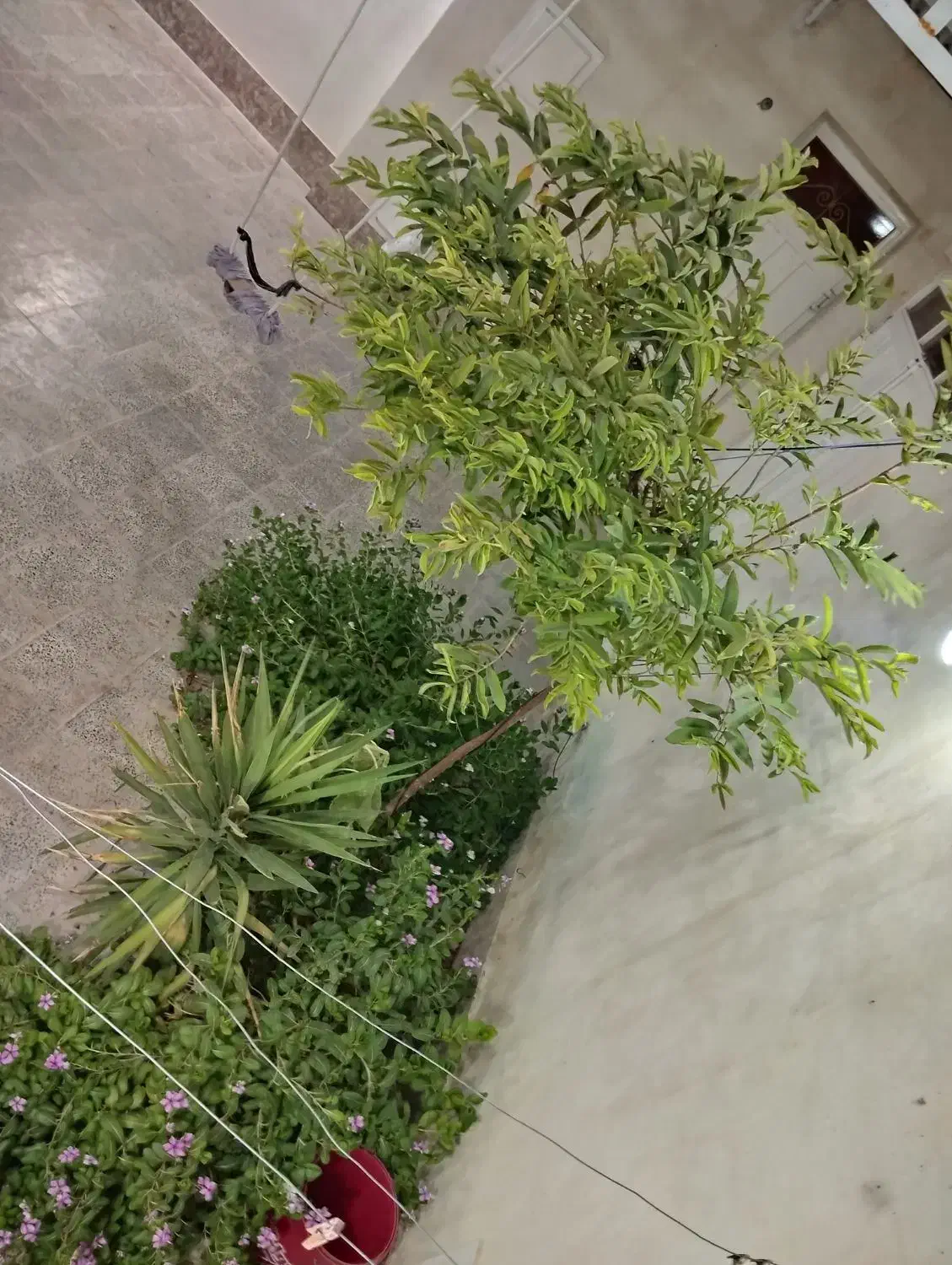 فروش بشکه نفتی ۲۲۰لیتری|مصالح و تجهیزات ساختمان|لار, |دیوار