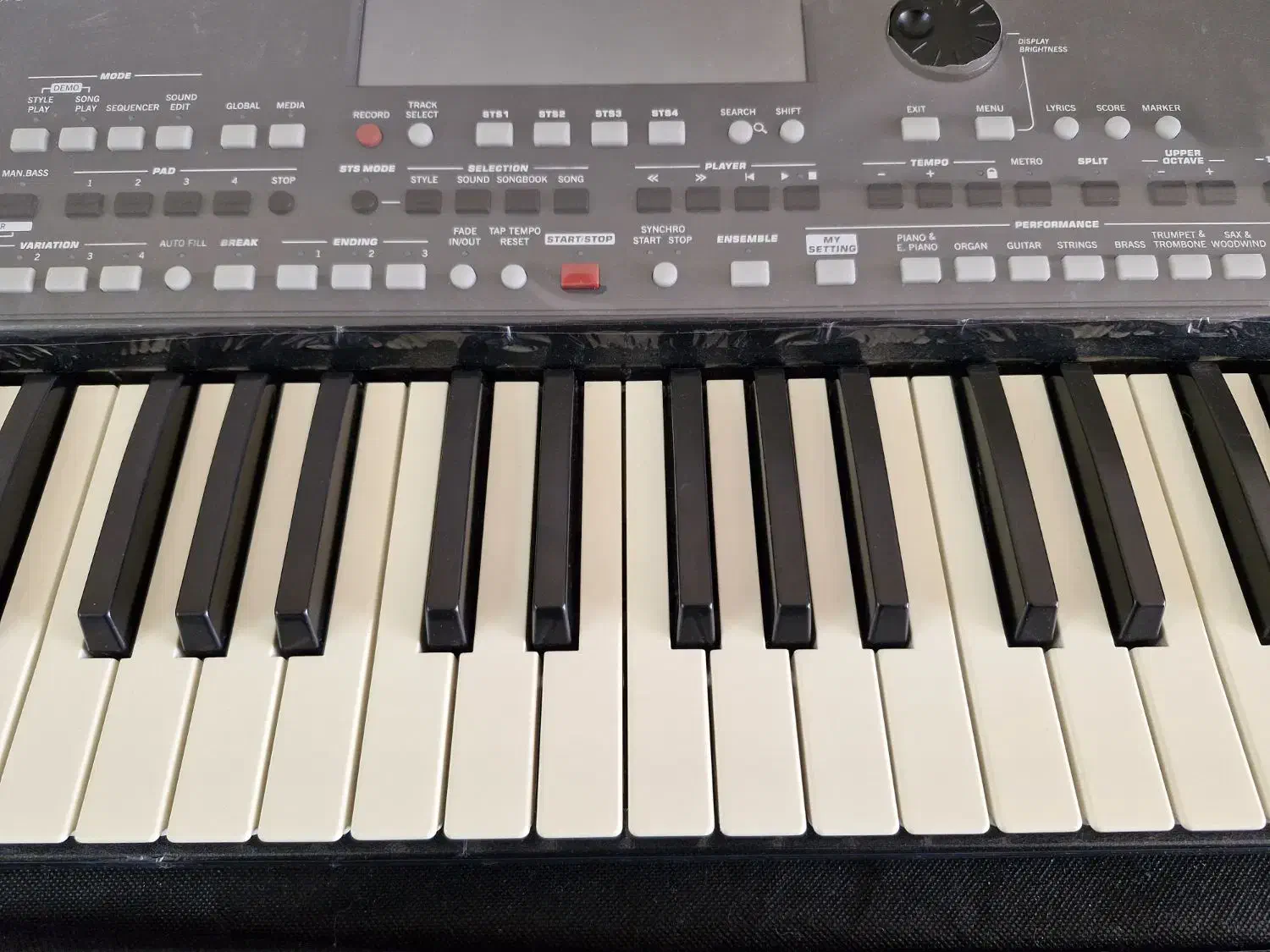 pa600|پیانو، کیبورد، آکاردئون|شهرضا, |دیوار