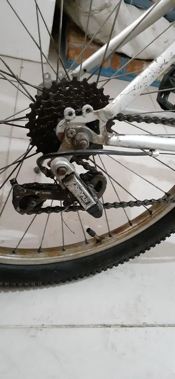 دوچرخه|دوچرخه، اسکیت، اسکوتر|تاکستان, |دیوار