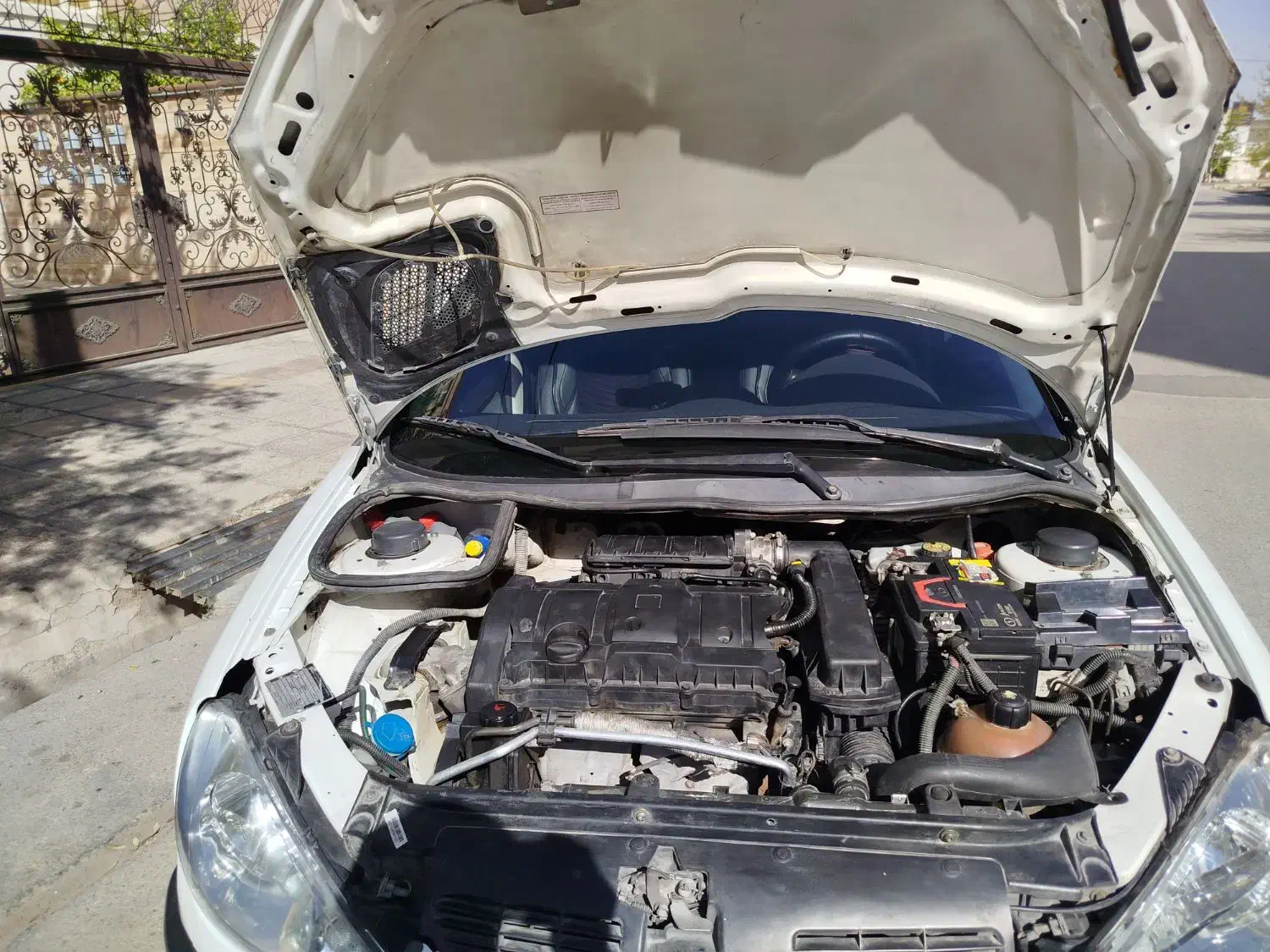 206 sd v8|خودرو سواری و وانت|شیراز, رازی|دیوار