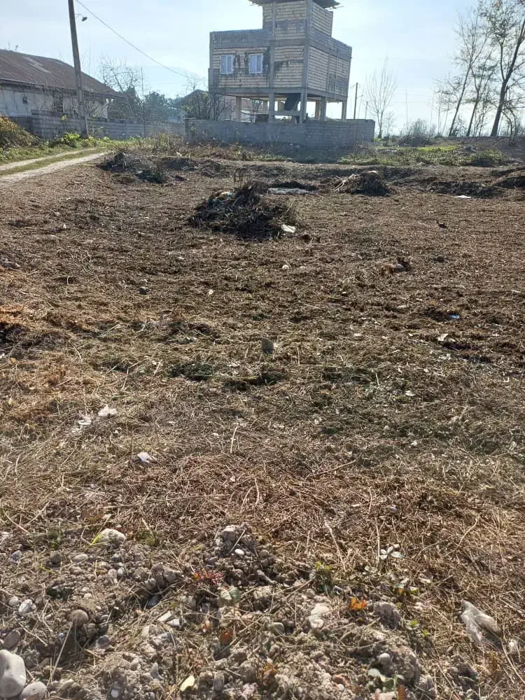 ۳۱۱ متر زمین در گیلان|فروش زمین و ملک کلنگی|سنگر, |دیوار