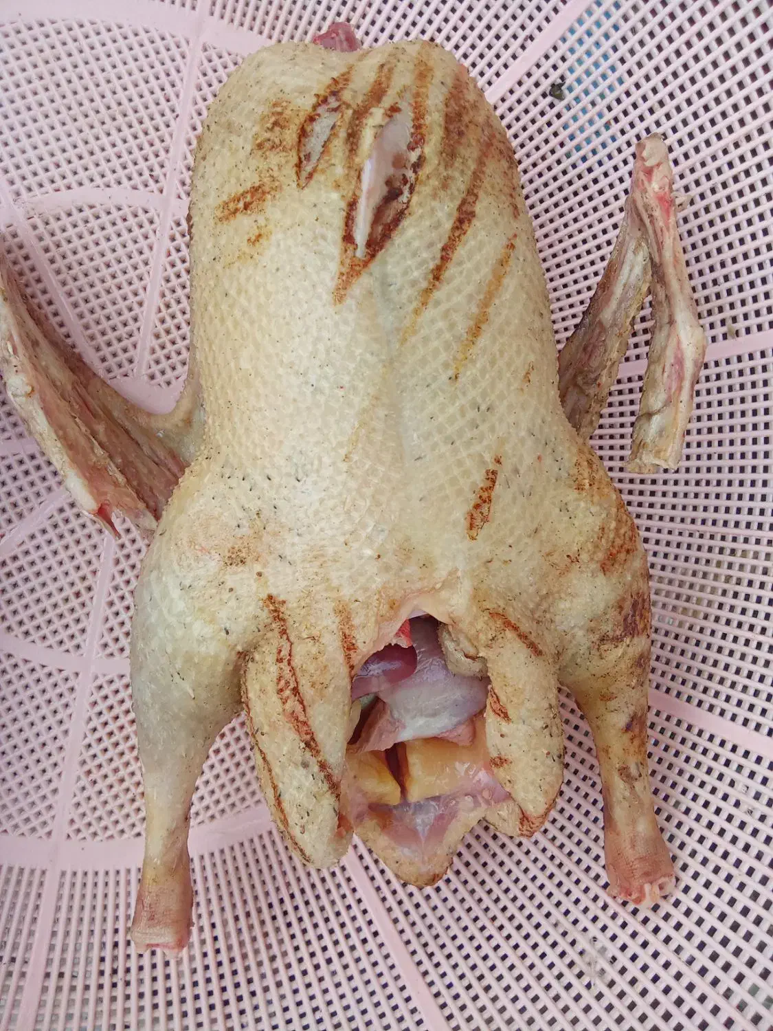 اردک و غاز محلی|حیوانات مزرعه|رشت, پل تالشان|دیوار