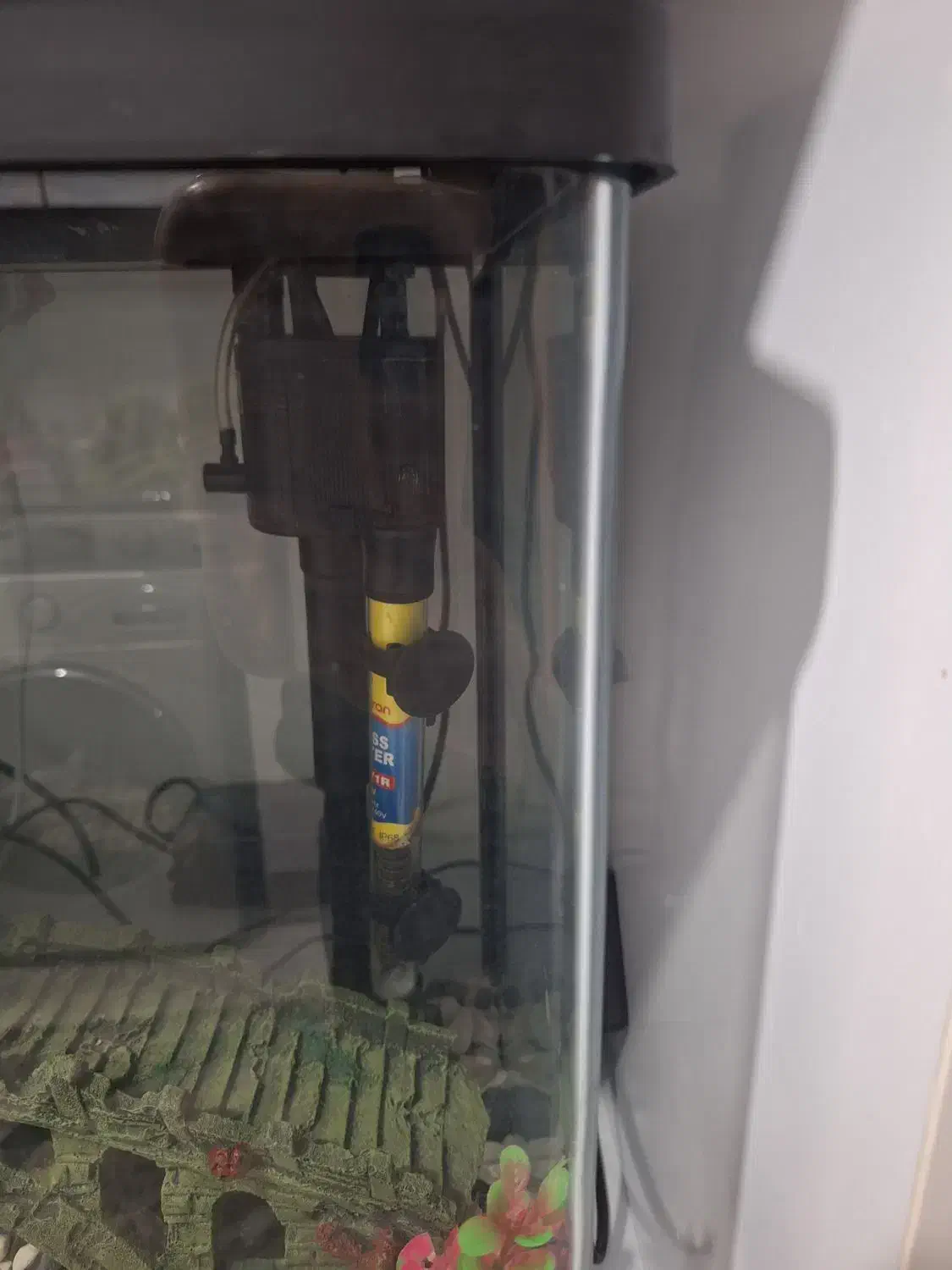 اکواریوم|ماهی|ساوه, |دیوار