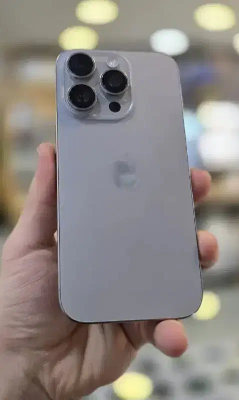 16pro 256|موبایل|شیراز, ملاصدرا|دیوار