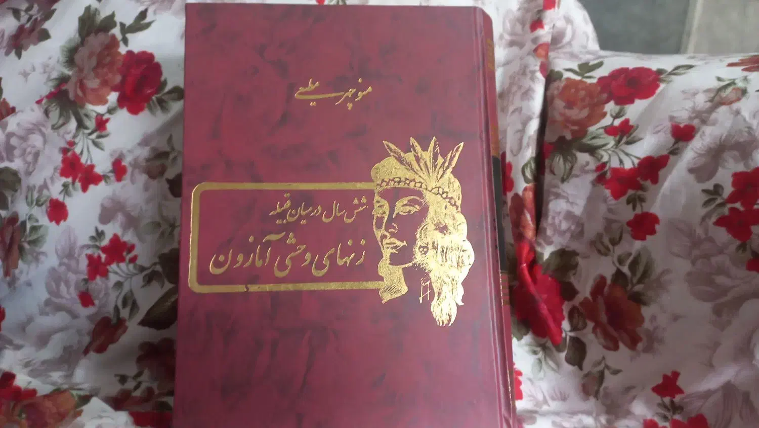 کتابهای پلیسی داستان رمان تاریخی|کتاب و مجله تاریخی|شیراز, لب آب|دیوار