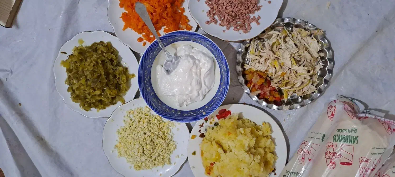 ساندویچ خانگی  هانا|خوردنی و آشامیدنی|گنبد کاووس, |دیوار