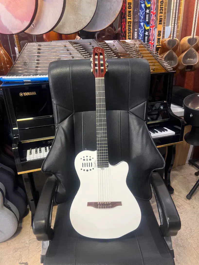 گیتار گودین godin|گیتار، بیس، امپلیفایر|بابلسر, |دیوار