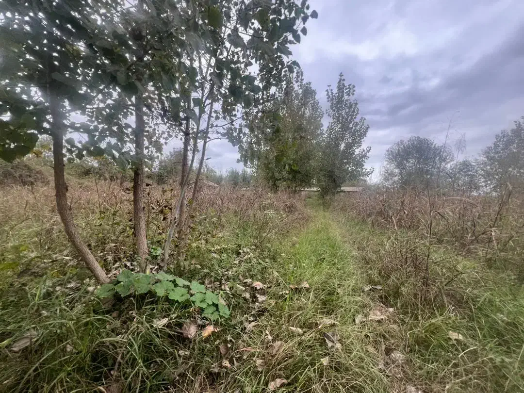 5/800متر زمین مسکونی سند دارکوچصفهان/سنگر/لولمان|فروش زمین و ملک کلنگی|کوچصفهان, |دیوار