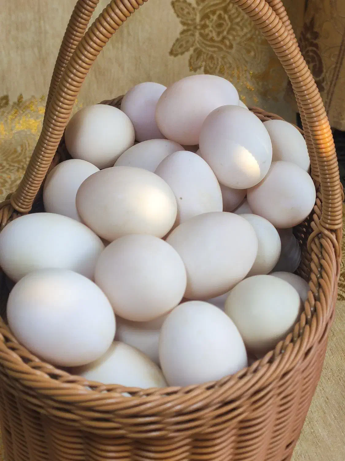 تخم اردک تازه و محلی|خوردنی و آشامیدنی|نجف‌آباد, رجایی شمالی|دیوار