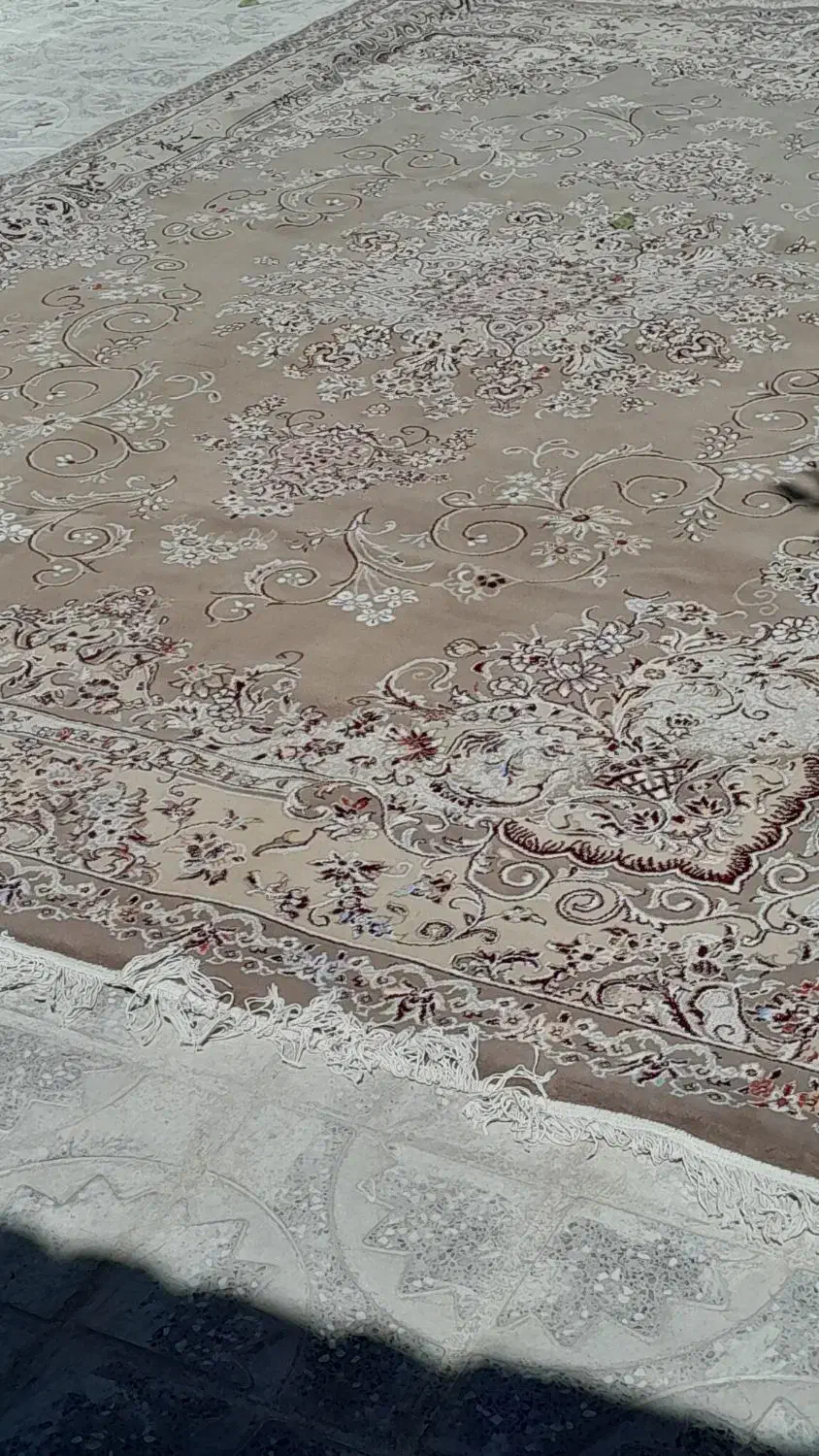 فرش ۹ متری|فرش|تربت‌حیدریه, پائین ولایت|دیوار