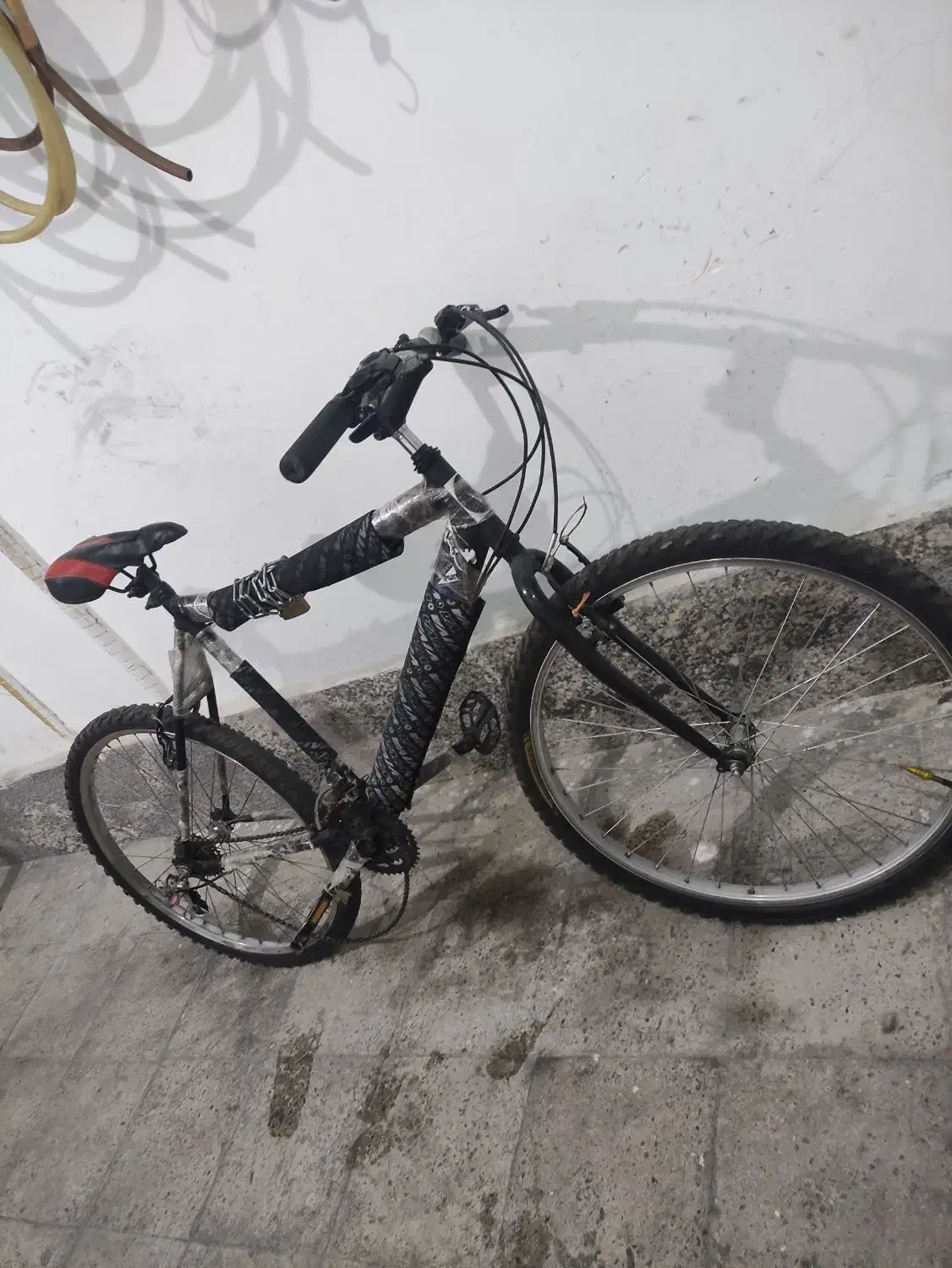 دوچرخه ویوا|دوچرخه، اسکیت، اسکوتر|قدس, شهرقدس|دیوار