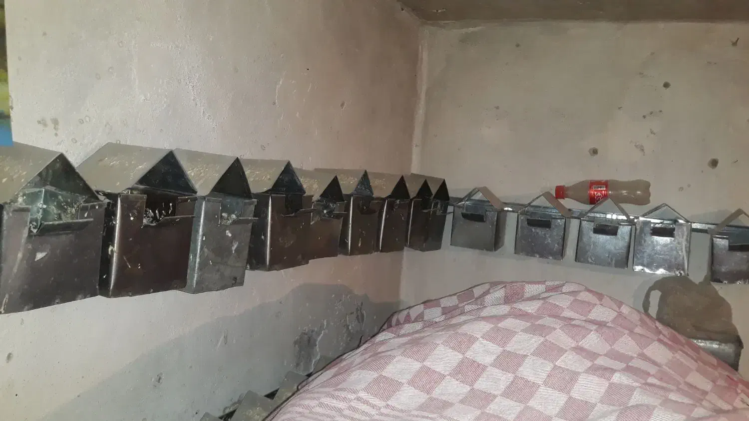 لونه فنچ|لوازم جانبی حیوانات|نیشابور, کوی حسینی|دیوار