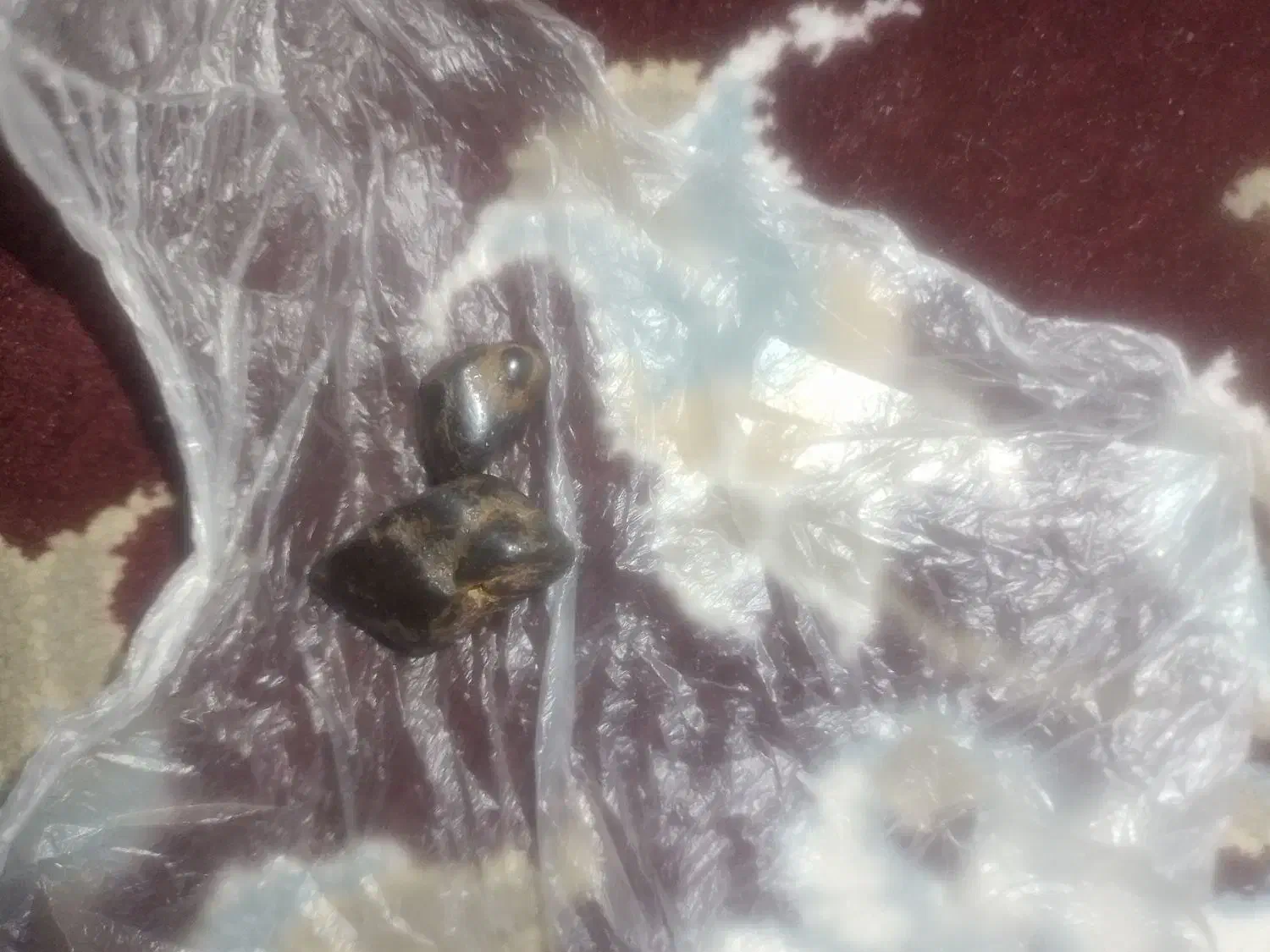 سنگ شهاب سنگ اصل تضمینی|کلکسیون اشیاء عتیقه|یاسوج, |دیوار