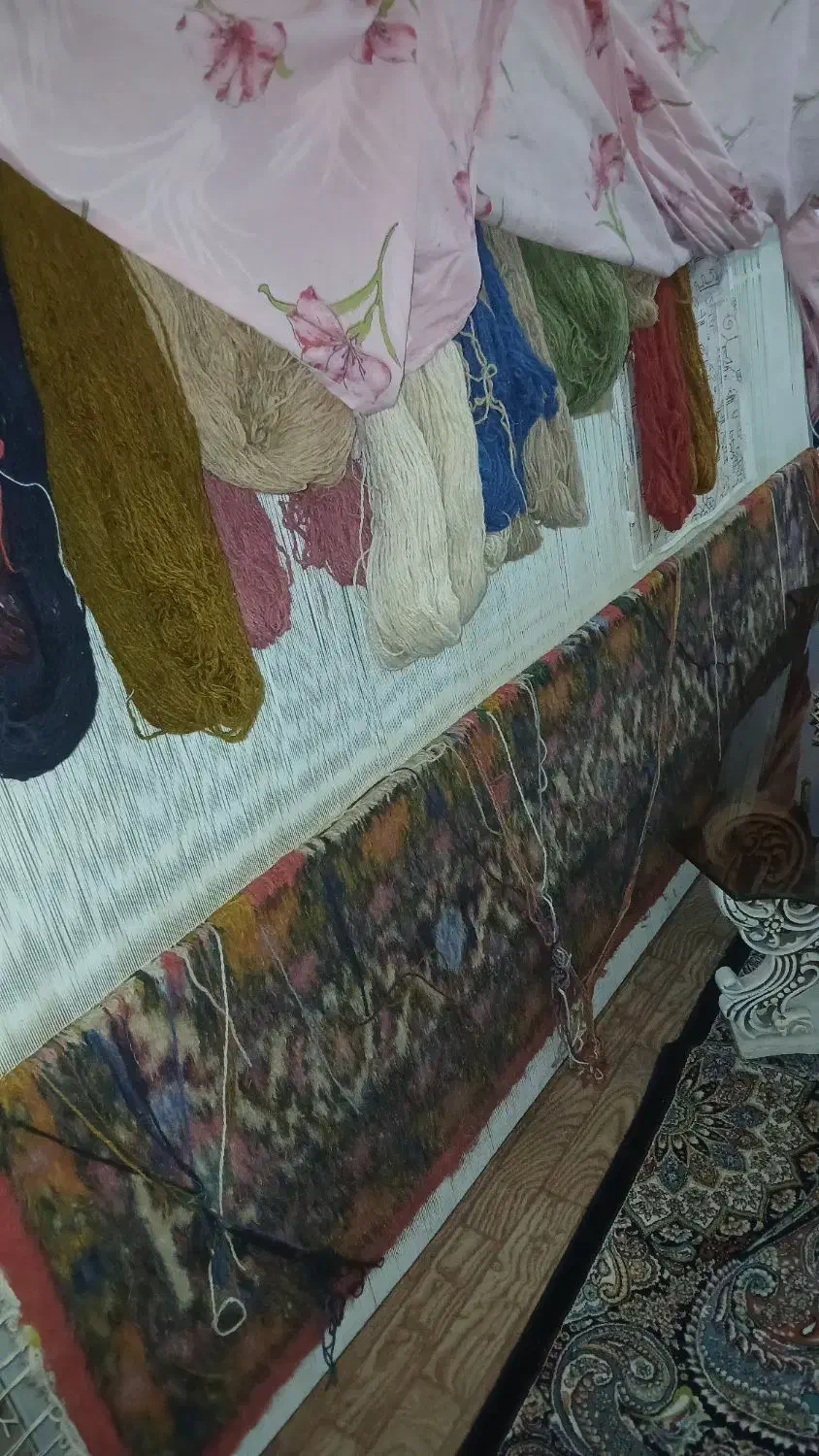 فرش دستباف باف|فرش|اردبیل, |دیوار