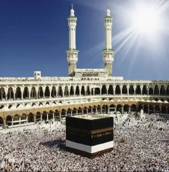 فروش فوری فیش حج تمتع|تور و چارتر|کاشمر, |دیوار