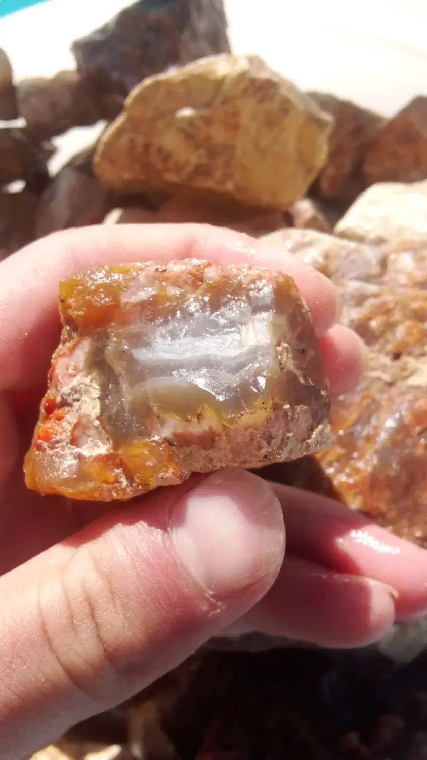 عقیق شجر جاسپر|جواهرات|اردبیل, |دیوار