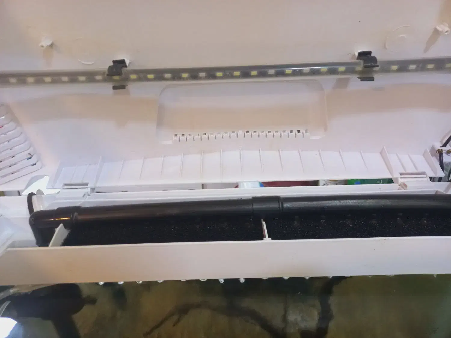 آکواریوم ماهیران|ماهی|شهرکرد, |دیوار