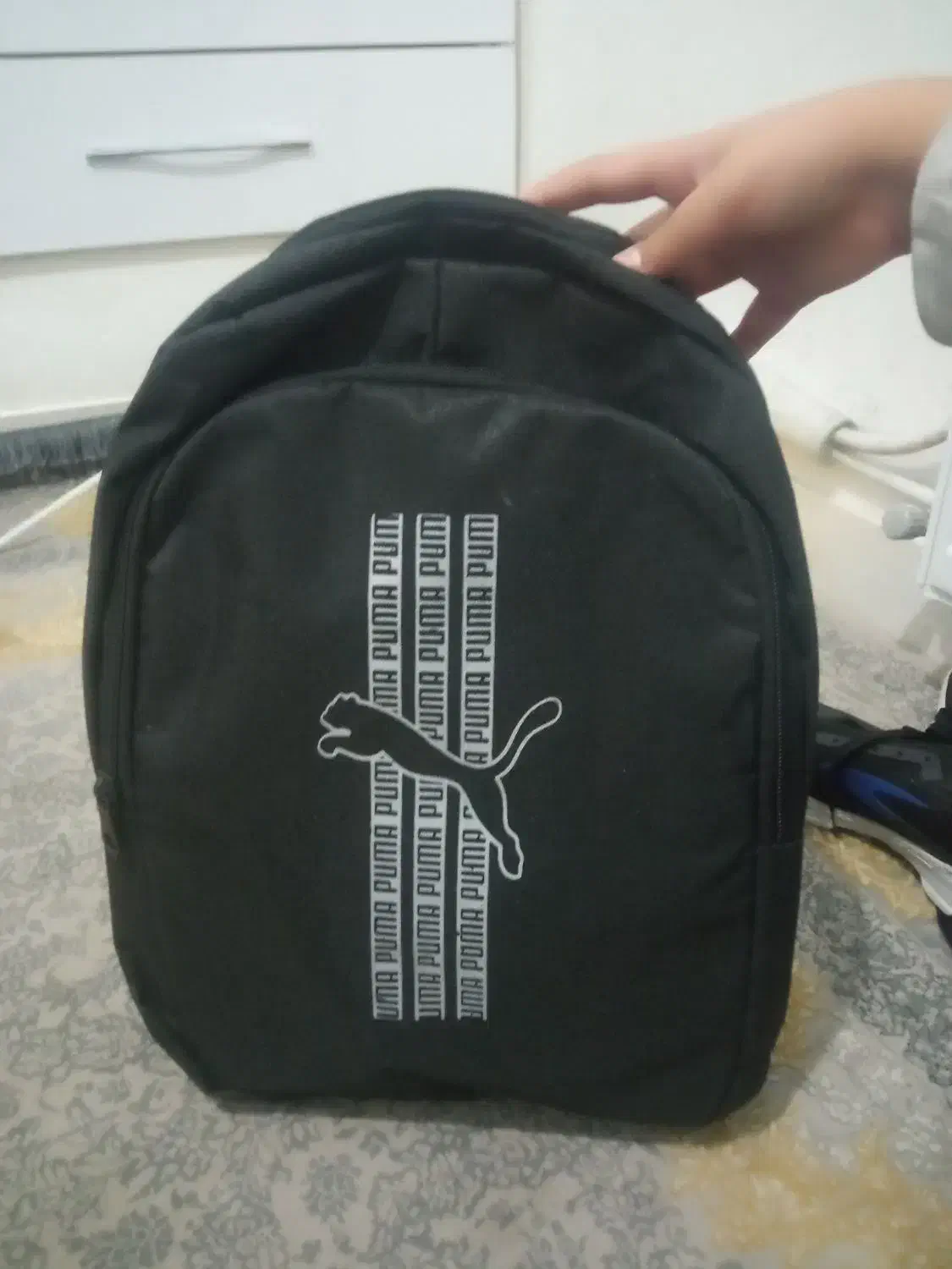 کیف|کیف، کفش، کمربند|نورآباد, |دیوار