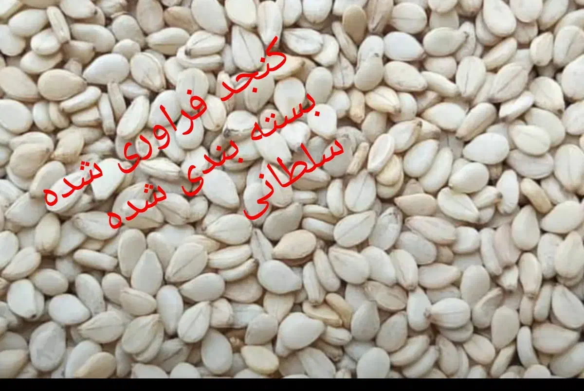 بازاریاب حقوق ثابت و پو سانت فروش|استخدام بازاریابی و فروش|رودسر, |دیوار