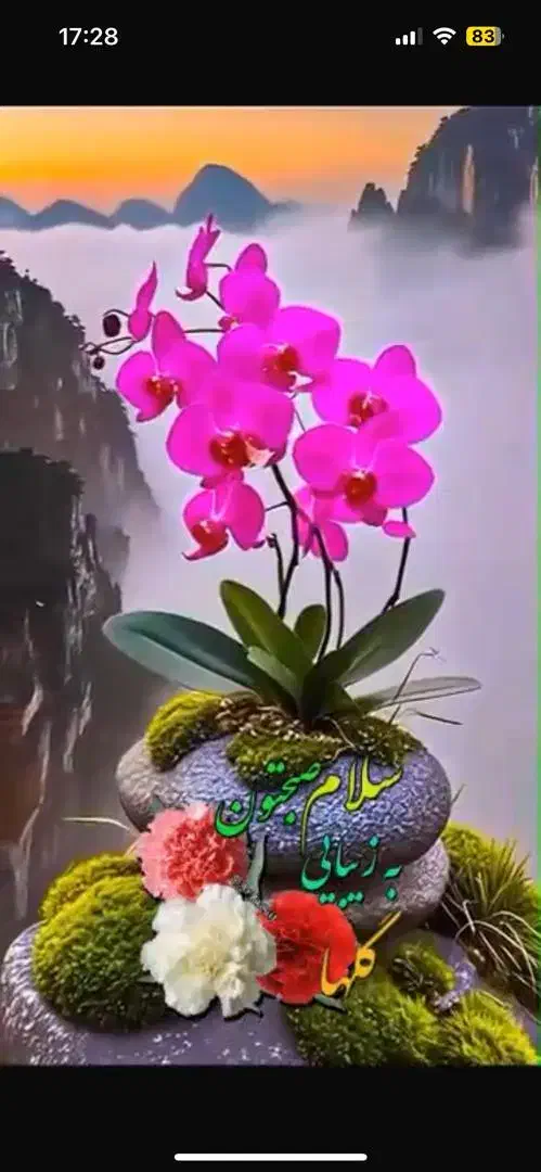 فروش خط تلفن ثابت|تلفن رومیزی|گرگان, |دیوار