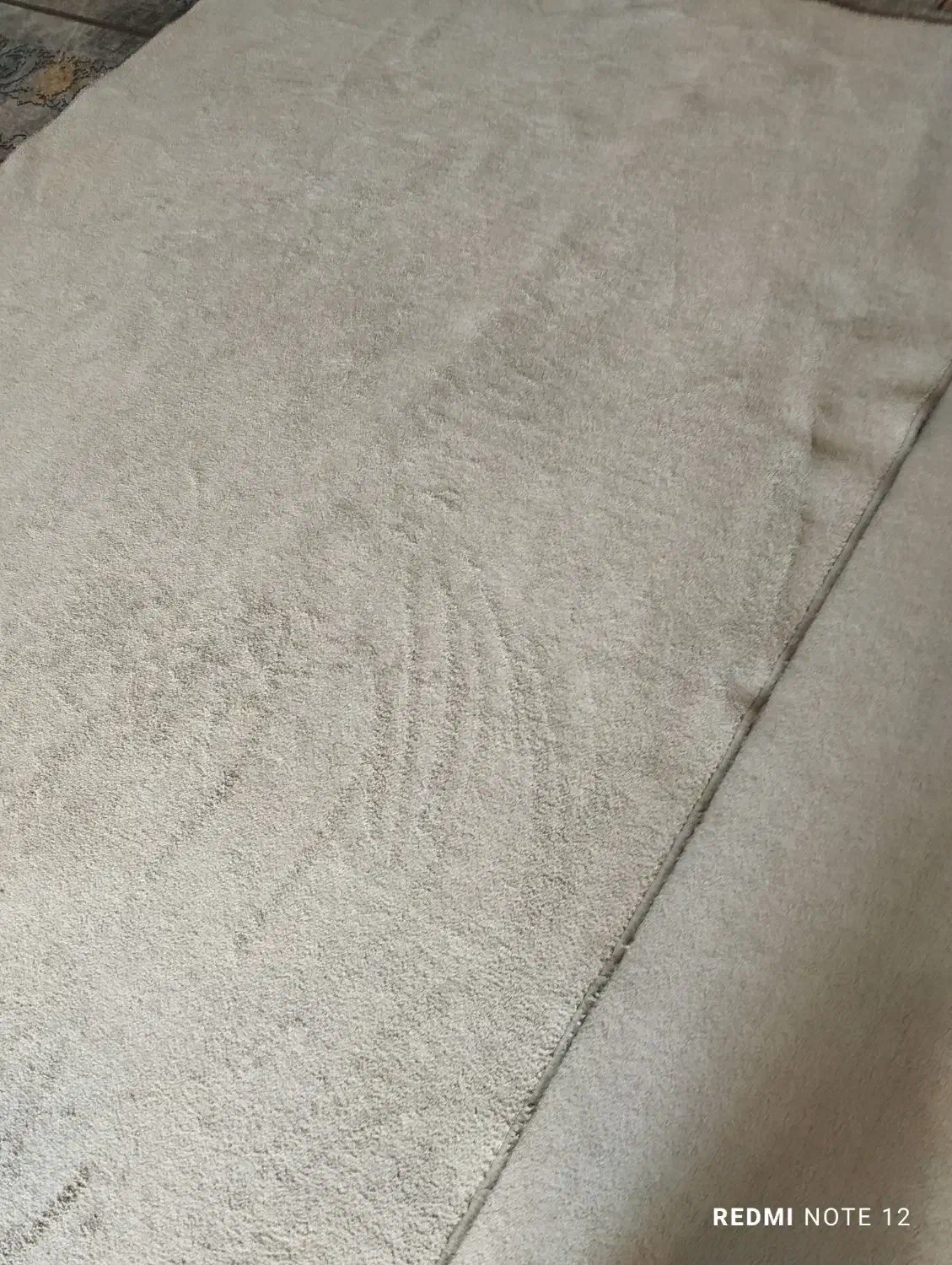 پالاز موکت 6متری درحدنو|موکت|سرپل ذهاب, |دیوار