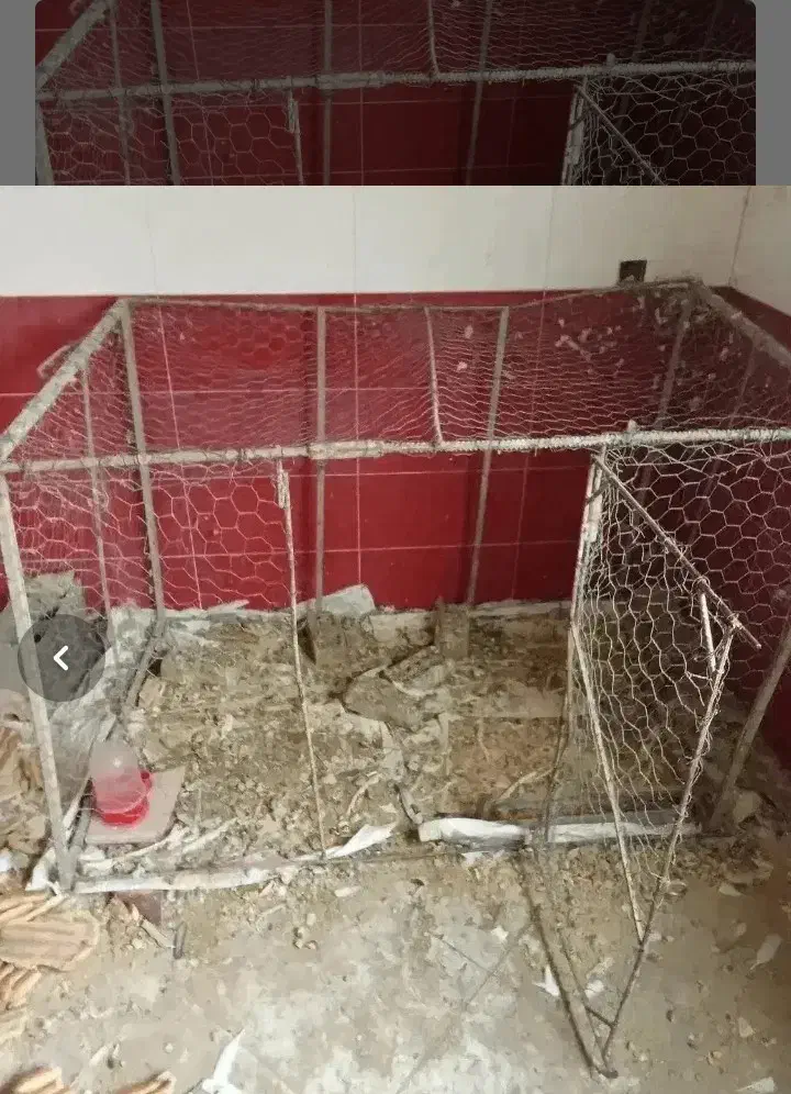 قفس کبوتر یا مرغ|لوازم جانبی حیوانات|گنبد کاووس, |دیوار