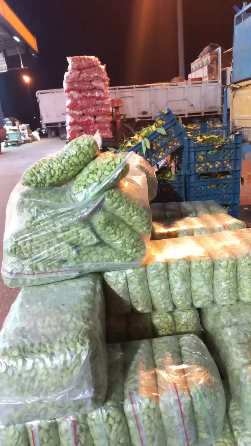 باقالی منجمد ونخود سبز پاک شده|خوردنی و آشامیدنی|نسیم‌شهر, |دیوار