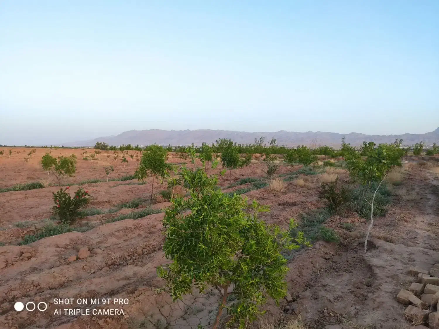 فردش آب و زمین کشاورزی چاه موسوی اول|فروش زمین و ملک کلنگی|خوسف, |دیوار