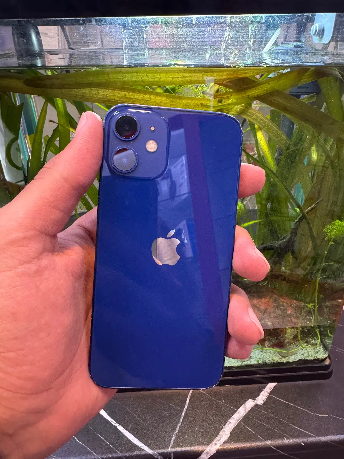 فروش iPhone 12mini با انواع شرایط ویژه بازنشستگان|موبایل|کرج, گوهردشت|دیوار
