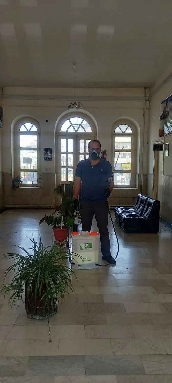 شرکت خدمات سمپاشی دارای مجوز|خدمات نظافت|بهنمیر, |دیوار