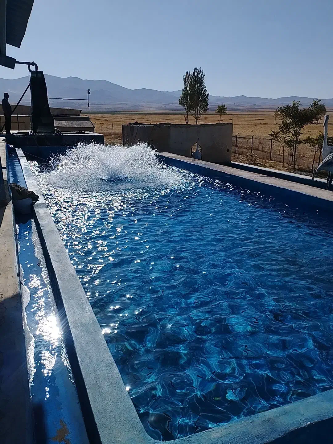 کارگر پرورش ماهی|استخدام صنعتی، فنی، مهندسی|زنجان, |دیوار