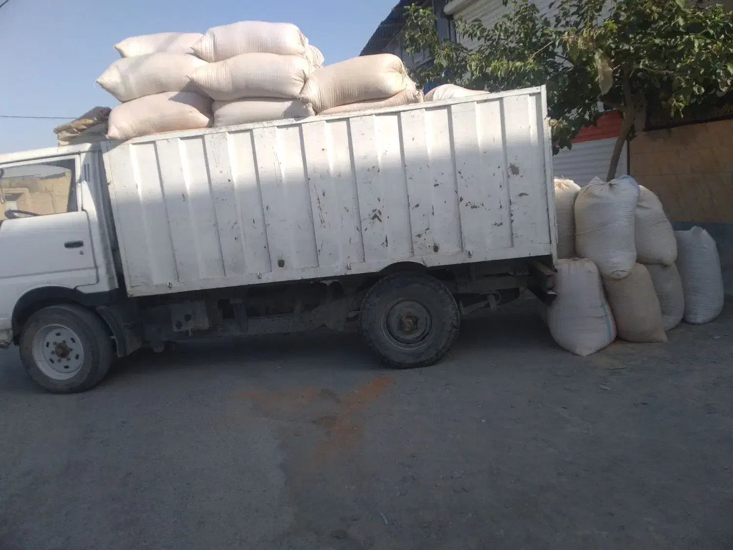 خرید وفروش پوشال چوب وخاک اره وگردو  تمیز گونی شده|خدمات باغبانی و درختکاری|همدان, |دیوار