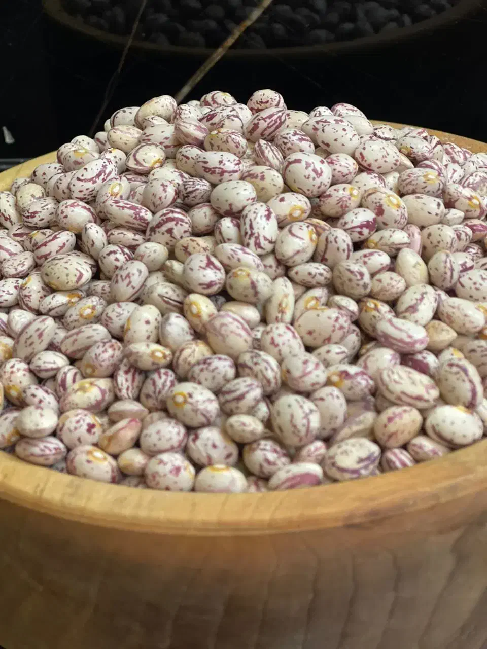 لوبیا چیتی|خوردنی و آشامیدنی|بهار, |دیوار