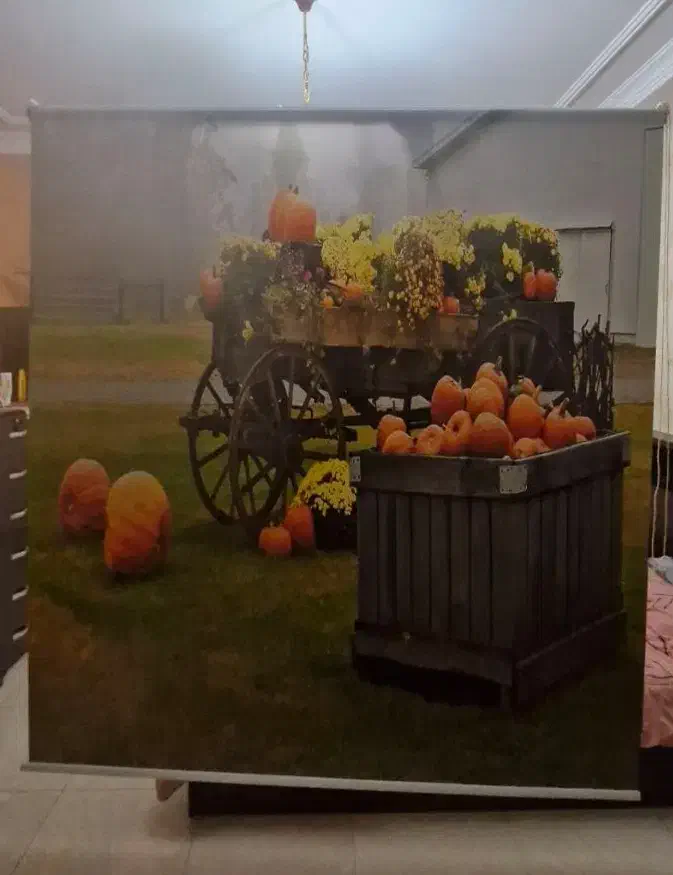 پرده اشپزخانه|پرده، رانر، رومیزی|صدرا-فارس, فاز ۱|دیوار