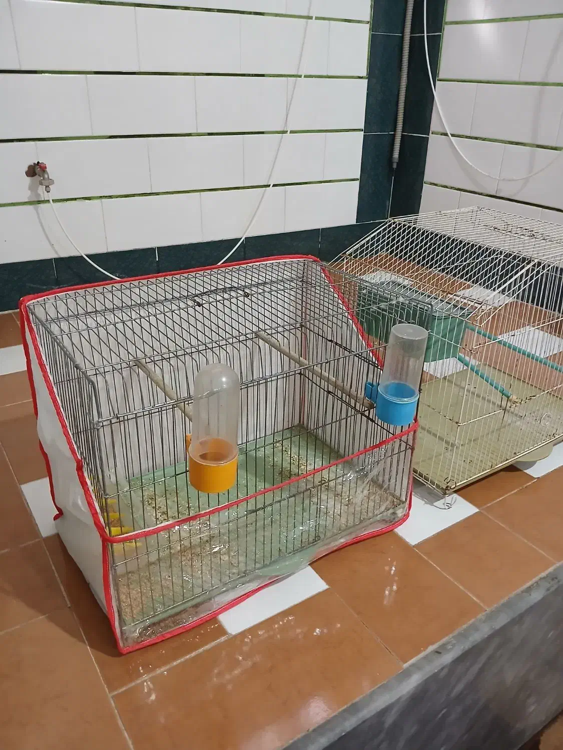 قفس پرنده نو درحد تعدادی هست|لوازم جانبی حیوانات|دوگنبدان, |دیوار