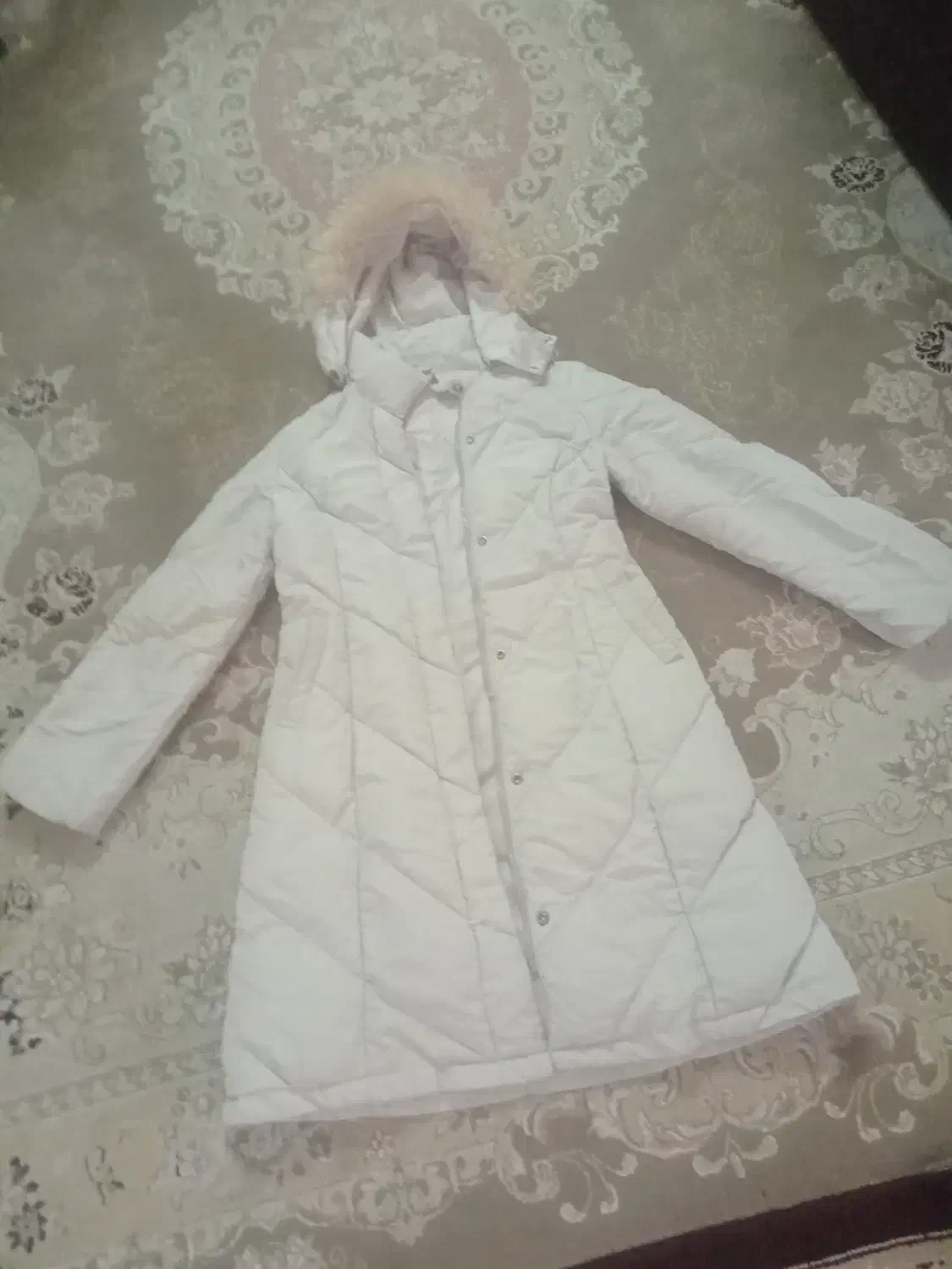 کاپشن بلند مناسب سایز ۳۴ تا ۴۰|لباس|کرج, حصار سرجوب|دیوار