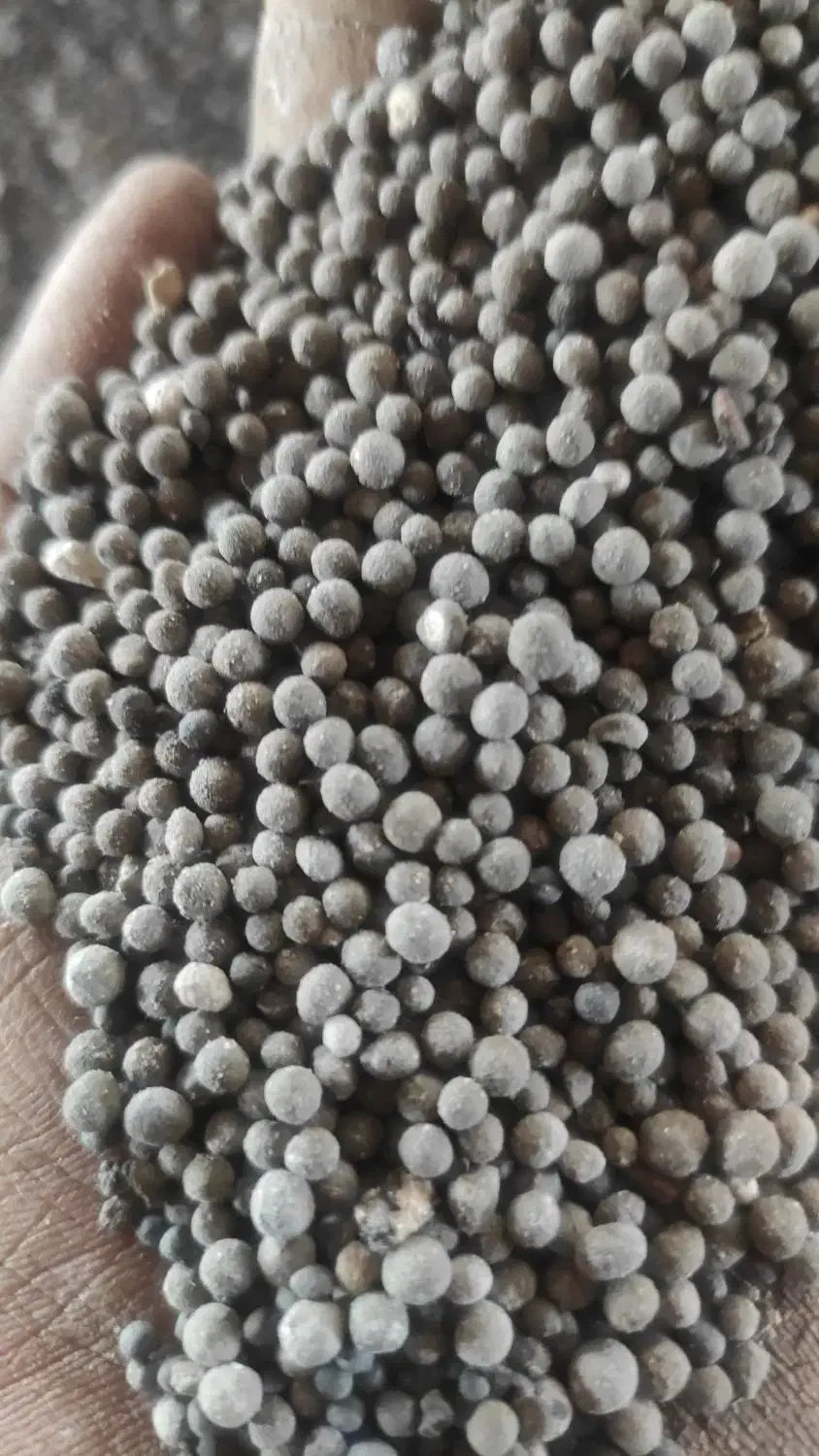 انواع کود کشاورزی ب قیمت تولیدی در یزد|خدمات باغبانی و درختکاری|یزد, |دیوار