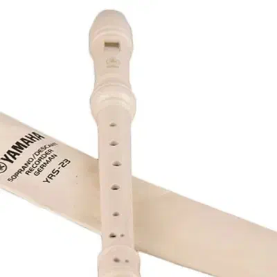 فولوت|سازهای بادی|تهران, ایران|دیوار